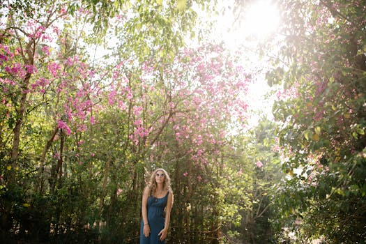 Nejlepší Rostliny pro Stinné Zahradní Prostory: Přehled a Tipy