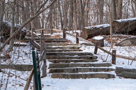 Jak snadno vytvořit přírodní zahradní cestu: Průvodce krok za krokem
