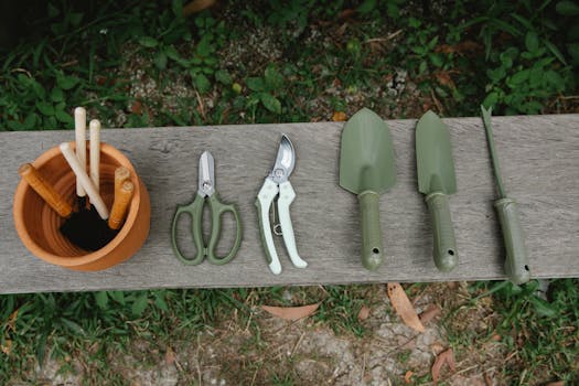 Essential Tools for Professional Gardeners: A Comprehensive Guide